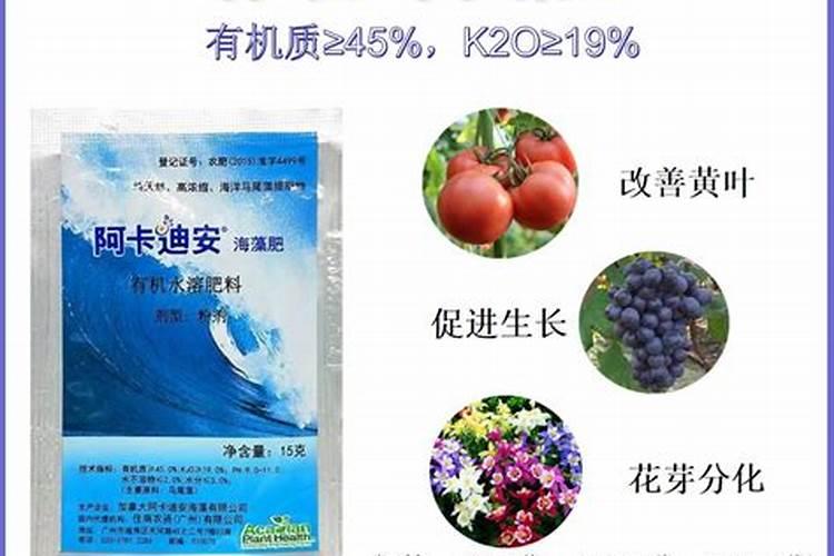 西瓜上什么肥料又大又甜