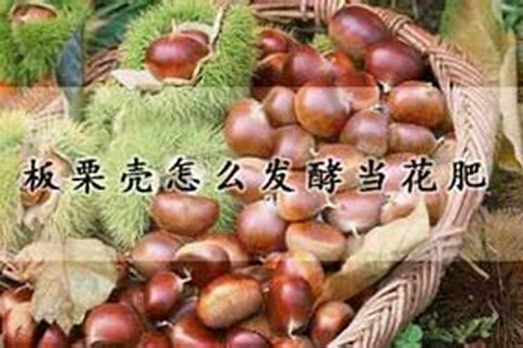 先正达阿米妙收和百菌清杀菌剂混用行吗