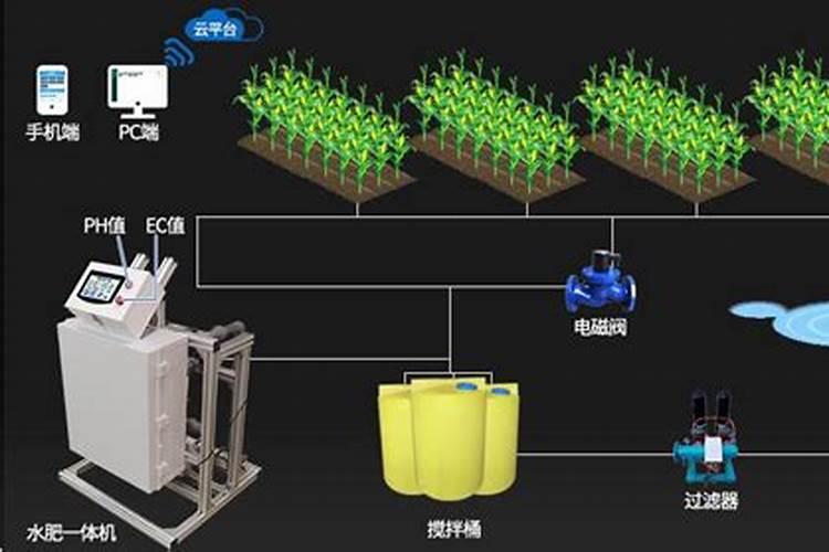 氮磷钾的肥料有哪些