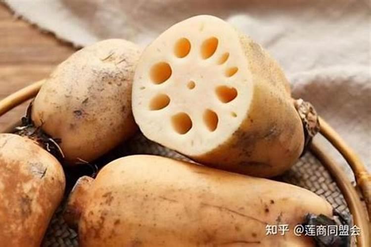 深水莲和浅水莲哪个更高产呢？为什么？
