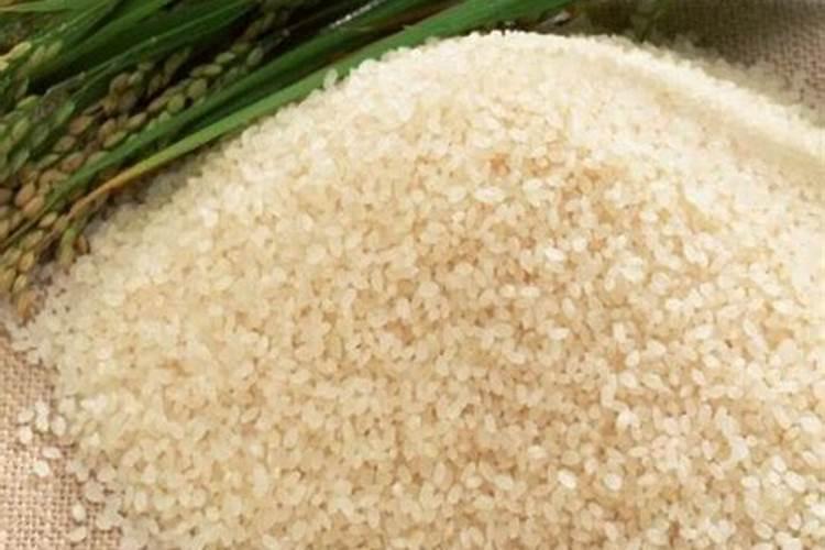 大米做花肥可以吗？哪位能说说看？