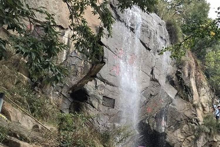 果树上花前,需不需要施肥？为什么？