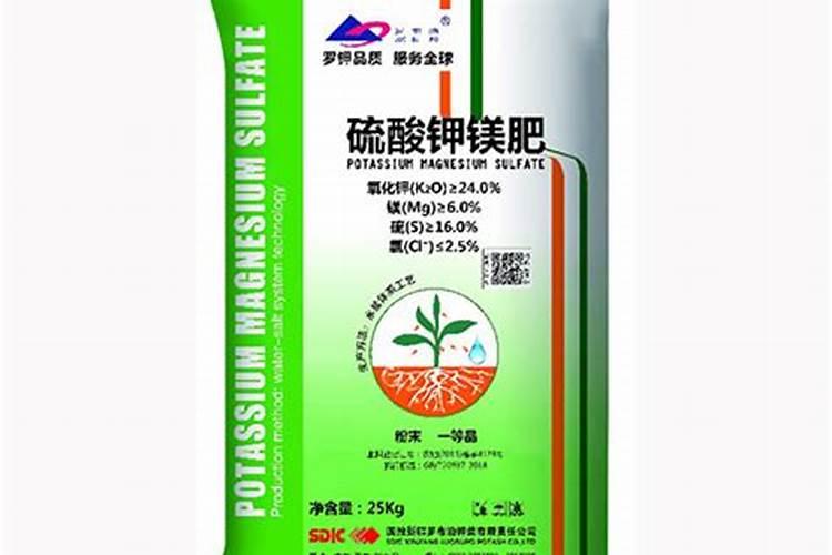 秋天如何给月季施豆粕肥料？