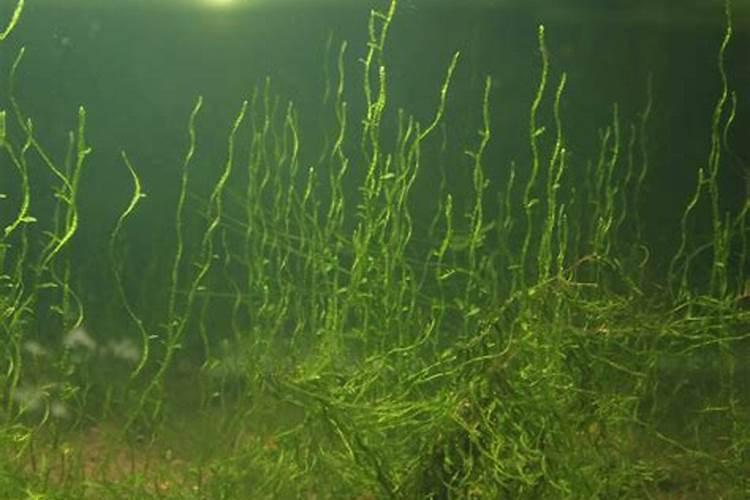 氮肥制作方法 氮肥如何制作