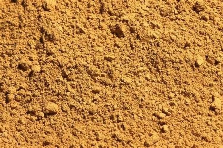 黄土高原种玉米用什么肥料好