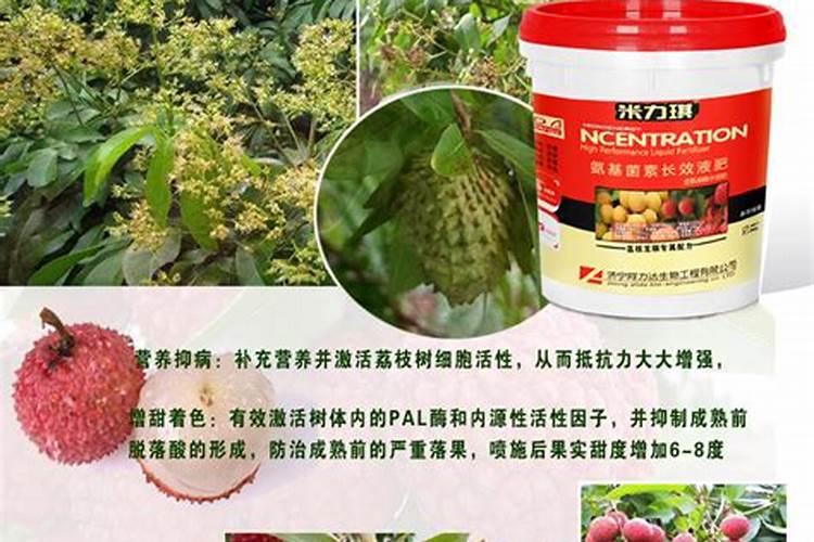 黄桃树怎么施肥最好