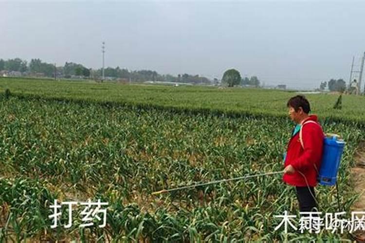 使用化肥的好处是什么？