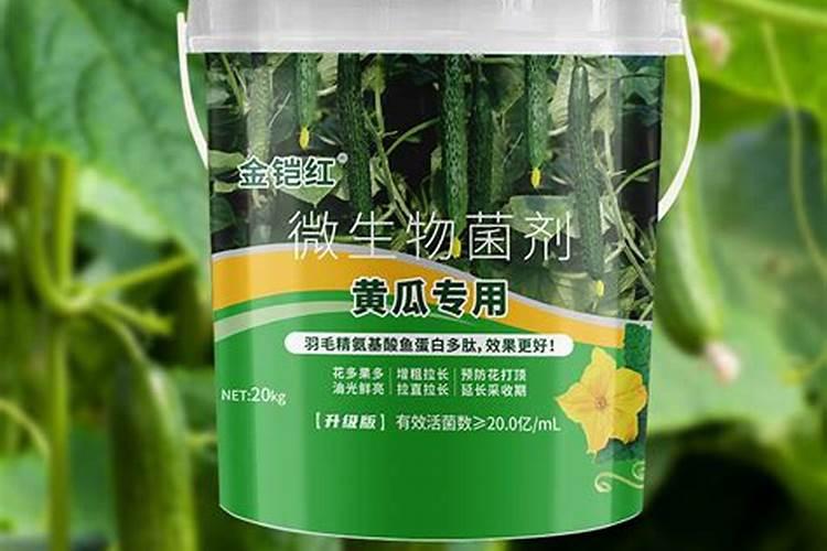 黄瓜冲施什么牌子水溶肥好