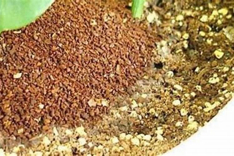 水溶肥是什么肥料