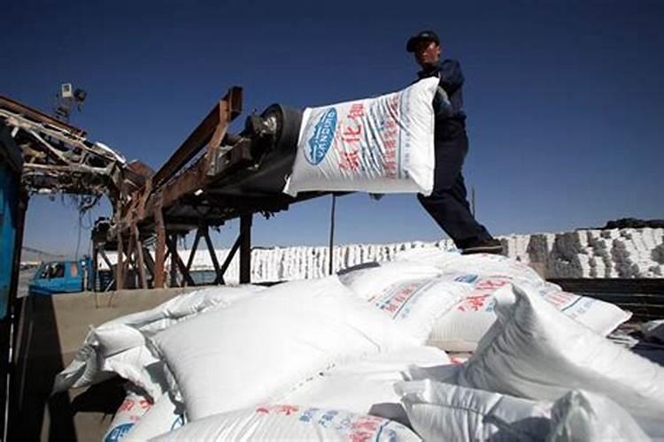 盐湖钾肥的历史由来谁投资