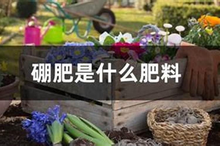 叶面肥加什么浇花最好用