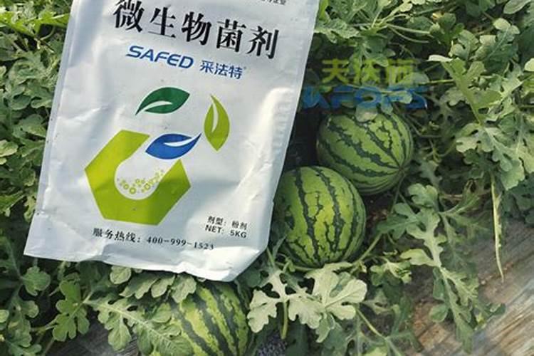 水溶复合肥在西瓜什么阶段使用？
