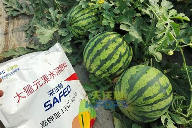 西瓜坐果后,冲肥用哪个肥料好!