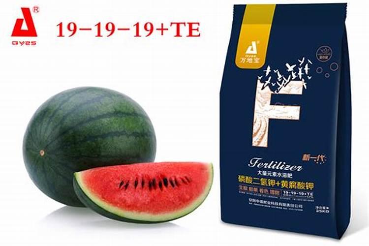 西瓜用什么冲施肥最好,沃盾冲施肥高甲高钙
