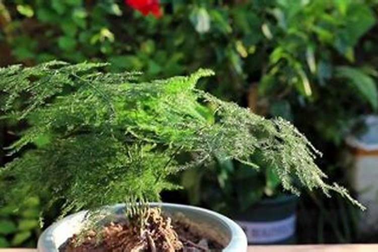 高浓度硫酸钾复合肥含量最高可以做到多少啊 氮肥最高可以到多少百度知 ...
