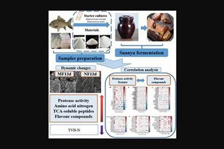 苗木生根剂配方