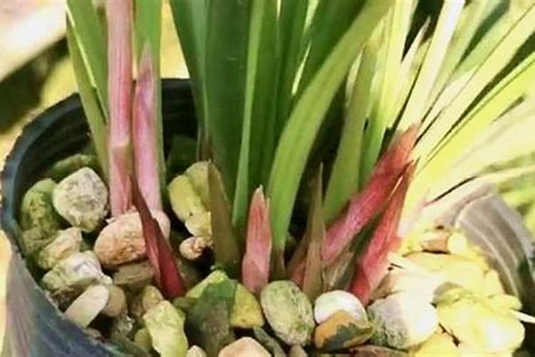 为什么椰棕床垫有酸味