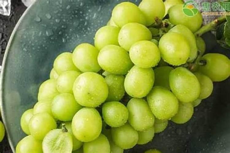 给花施肥是选择晴天还是阴天