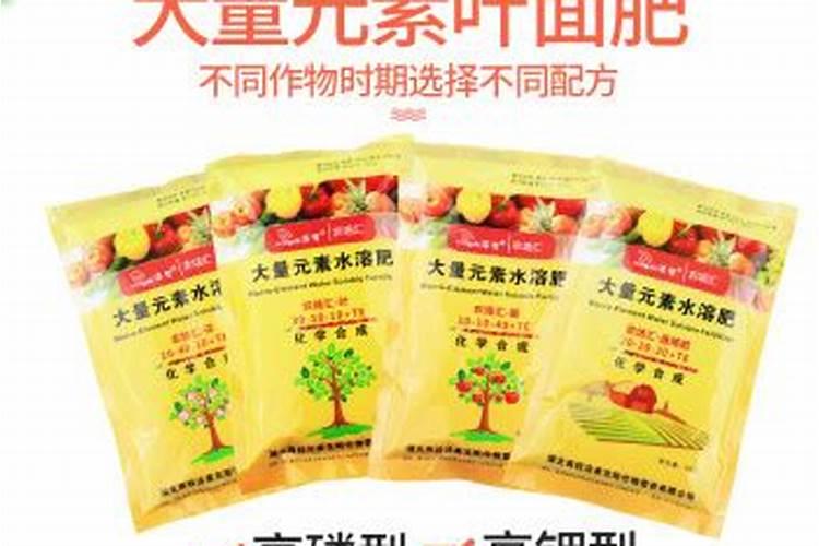 四季豆全年施肥时间及施肥方法