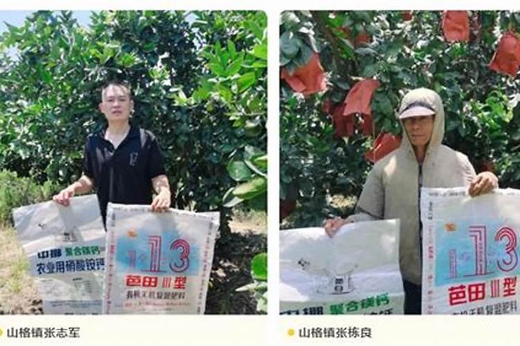 玫瑰花用什么肥料最好