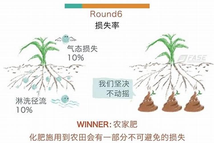 西瓜什么时候冲施钙肥？