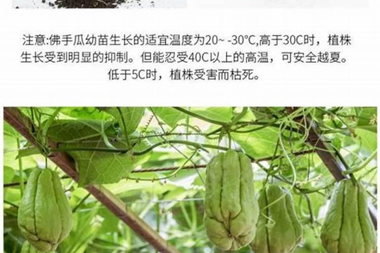 蓝藻,裸藻多的池塘应多施磷肥还是氮肥