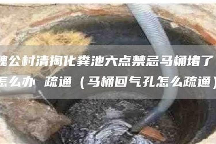 蔬菜大棚区用什么底肥比较好？