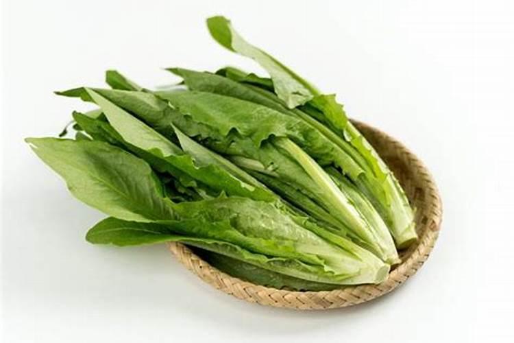 油用牡丹什么时候种植 油牡丹怎么种什么时间栽种