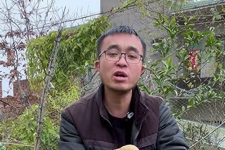 葡萄硼肥什么时候打最好？开花前？还是花期打？