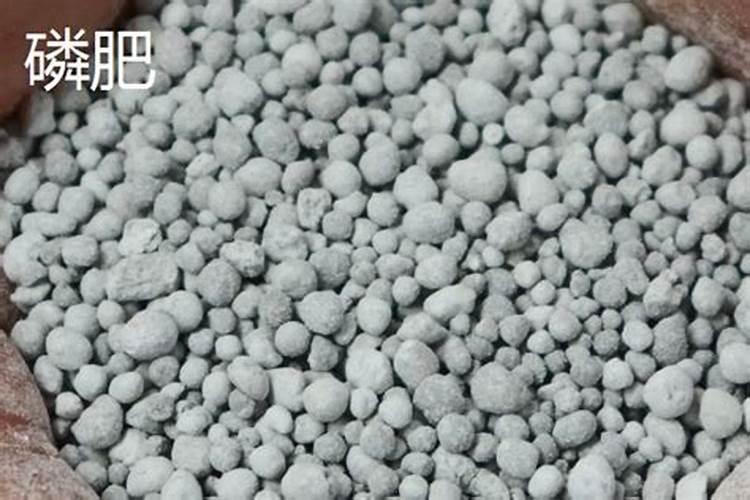 花生高产叶面肥配方