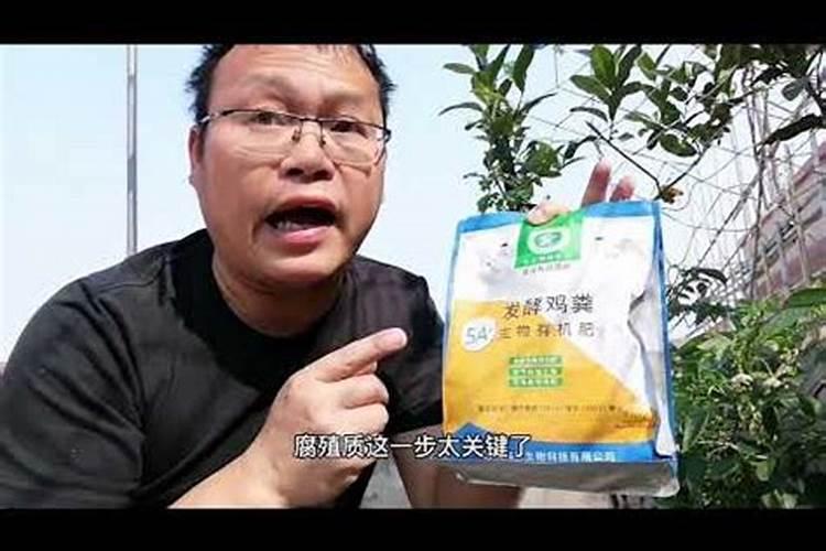 请问茶花叶子上有好多的黄色斑点,是怎么回事,如何防治了？