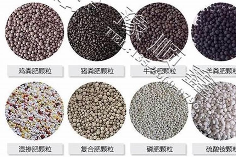 西昌金通小额贷款公司提供什么类型的贷款产品