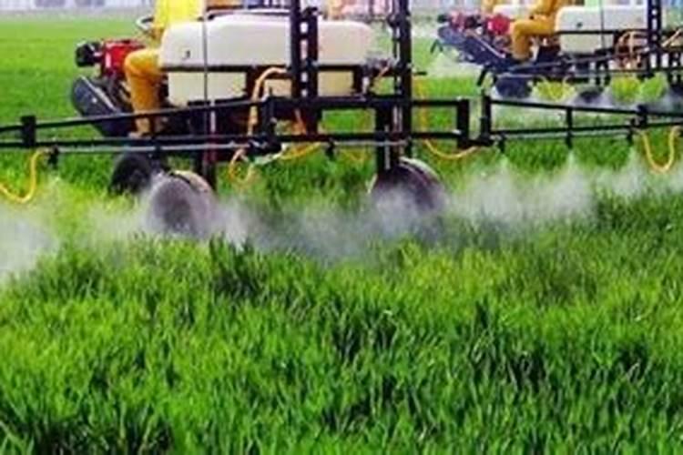 碳酸氢铵可以做肥料吗 正确的使用方法