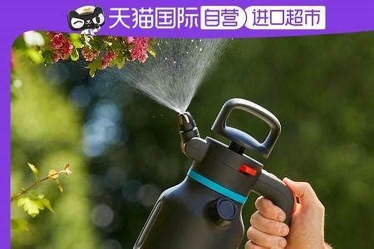 花生需要打叶面肥吗,花生叶面肥选择及使用方法