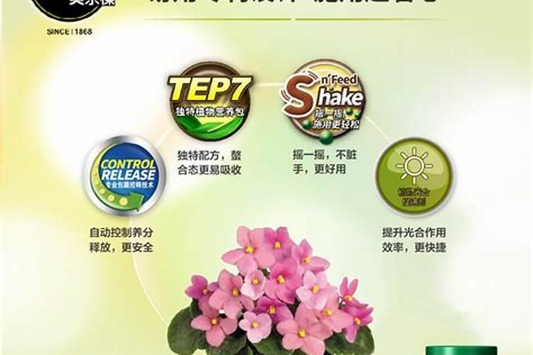 蔬菜种子育苗的时间 蔬菜应该怎么养殖