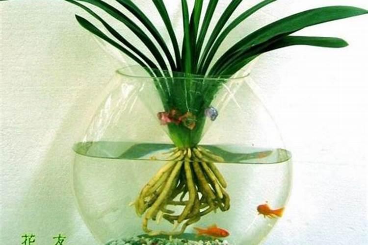 水稻田施生石灰的作用