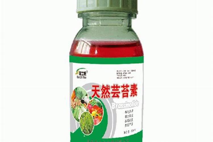 种蒜需要打几遍防冻剂