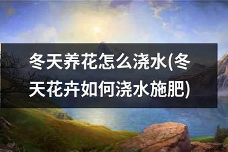 迎春花土里应加什么肥料