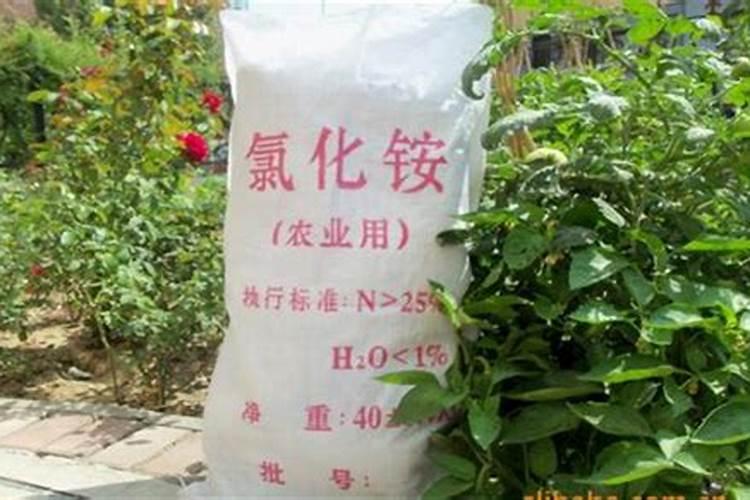 避坑!西瓜施水溶肥的4大注意事项