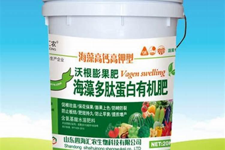 麻竹笋高产种植技术