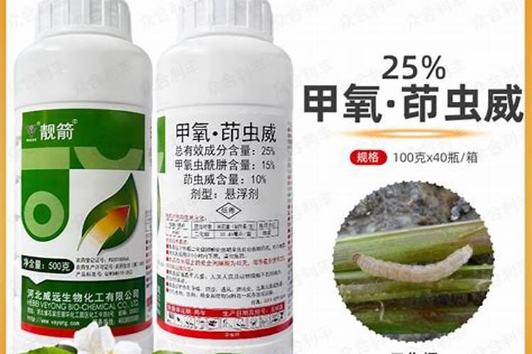 冬天栽树能活吗？