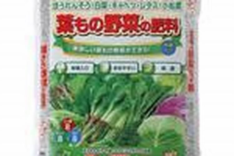 小白菜的施肥很关键,小白菜该怎么施肥？