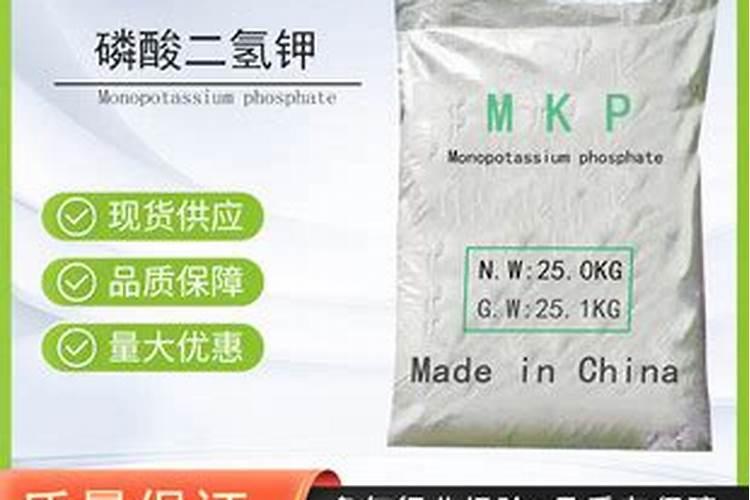 6月份移植盆栽牡丹能活吗