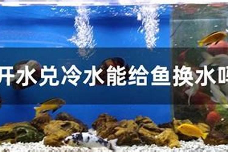 辣椒什么时候补钙最好