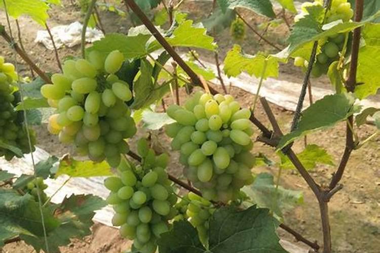 高锰酸钾在空气中加热分解的产物是什么？