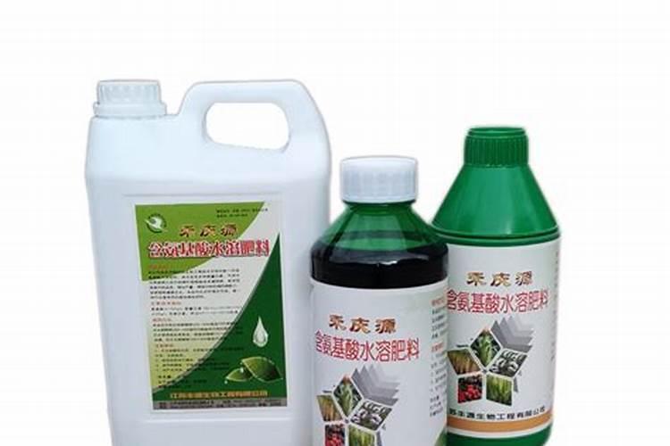 麦苗发黄怎么办