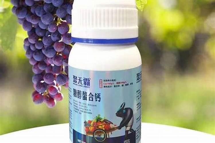 种植葡萄用什么肥最好