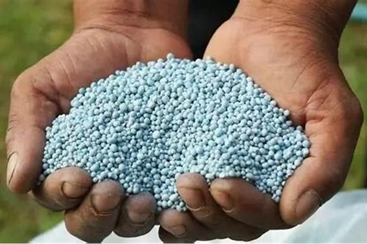 1亩田水稻施肥方法