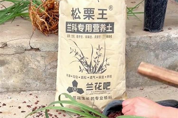 一个一亩地的大棚造价大约多少钱？