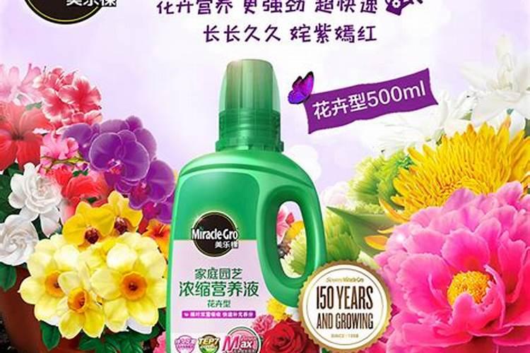 阳台种植花草用什么肥料最营养？